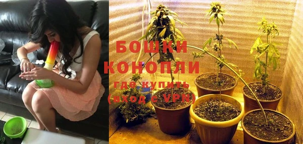 гашик Вязники