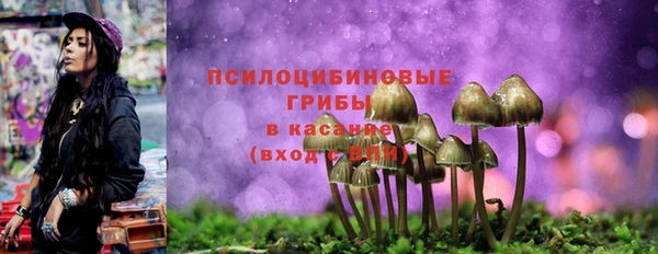 гашик Вязники