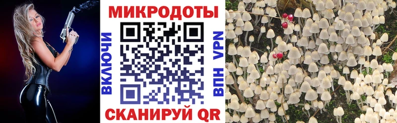 Псилоцибиновые грибы Psilocybe  сайты даркнета состав  Отрадный 